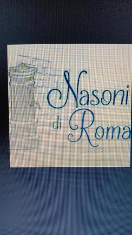 الشقق الفندقية Nasoni Di Roma المظهر الخارجي الصورة